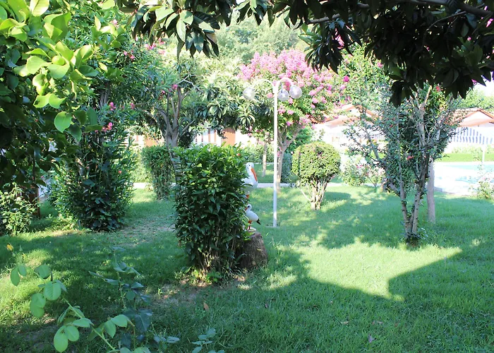 Hulusi Ξενοδοχείο